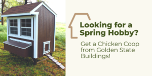 Looking for a Spring Hobby? Get a Chicken Coop from Golden State Buildings!
