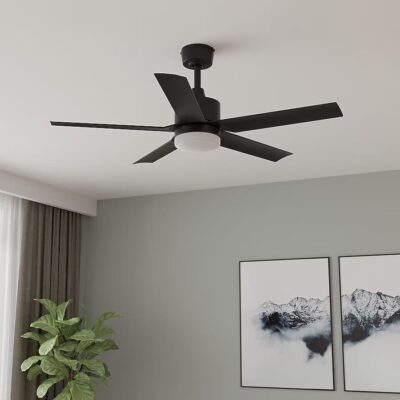 Ceiling Fan Black