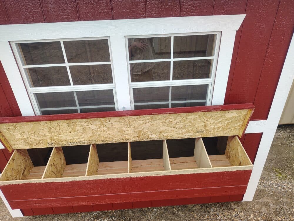 6'x8' Chicken Ranch