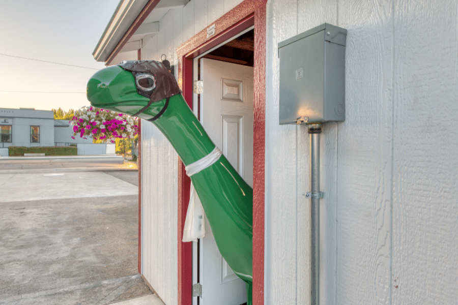 Sinclair dino poking head out side door of 14x20 garage in Reedley, CA