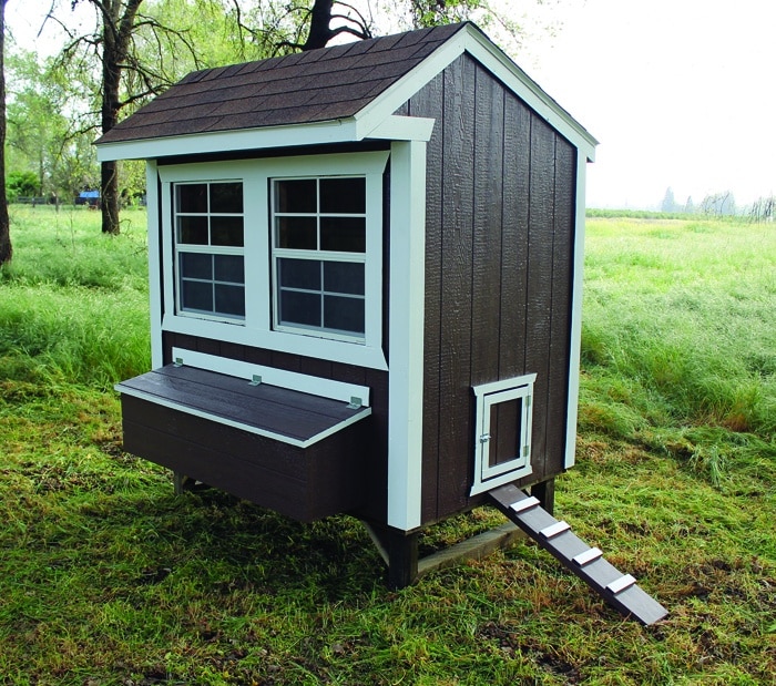 brown and white chicken coop with ramp egg collection basket and two windows