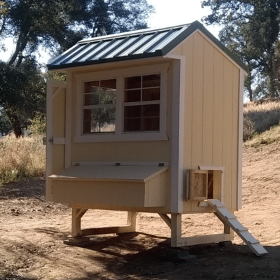 beige chicken coop with windows in dunlap ca