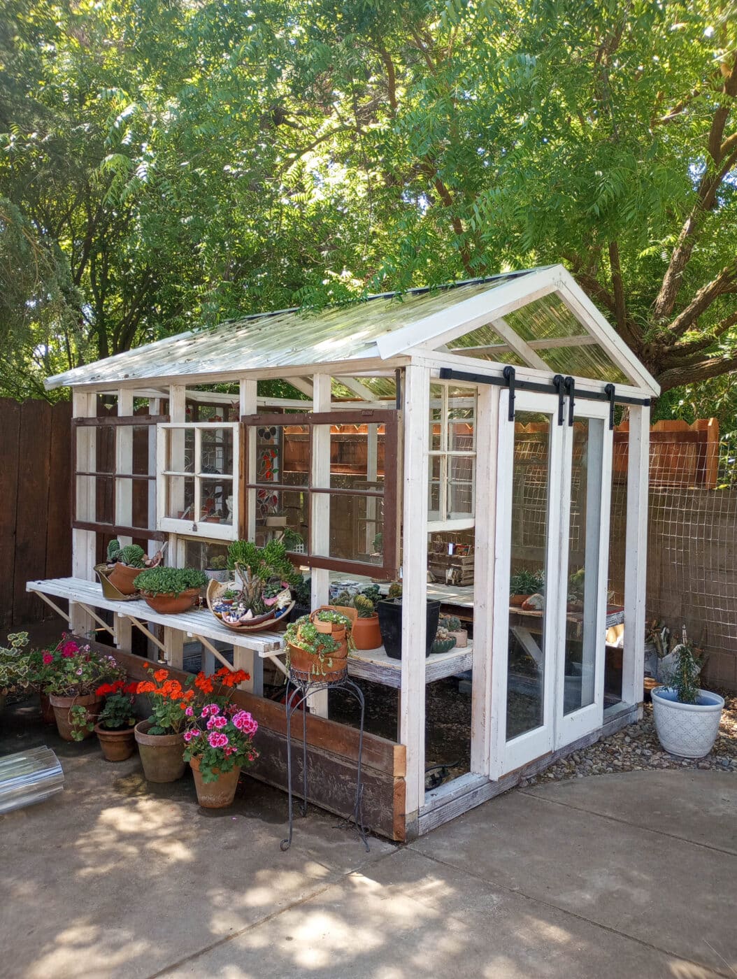 clear sided custom greenhouse shed with white posts and lots of colorful flowers inside and out