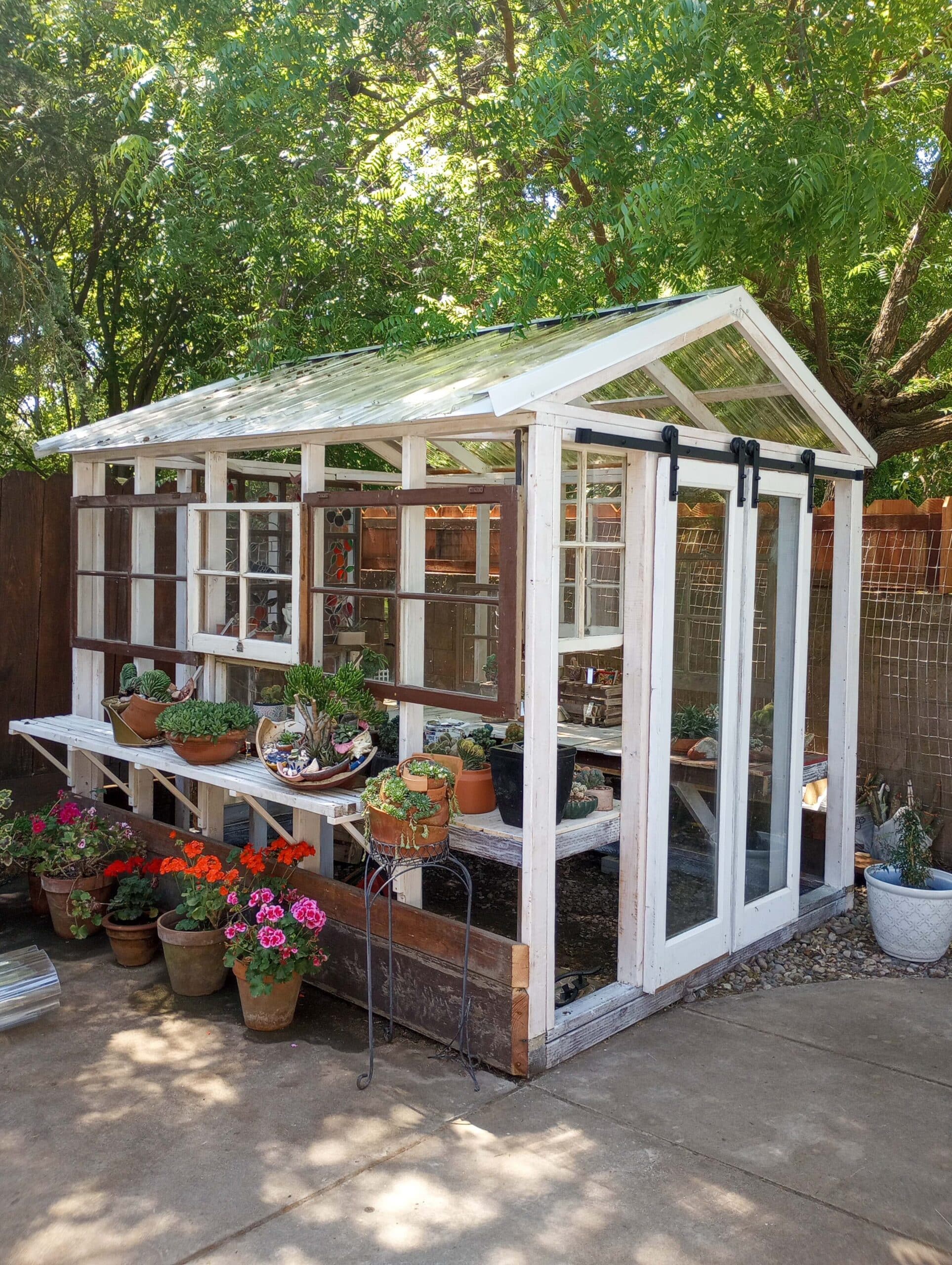 custom sheds near Lemoore CA with clear siding and white posts designed to be greenhouse with multiple plants and flower boxes