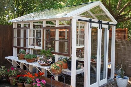 garden shed with clear siding and shelving being used as a greenhouse