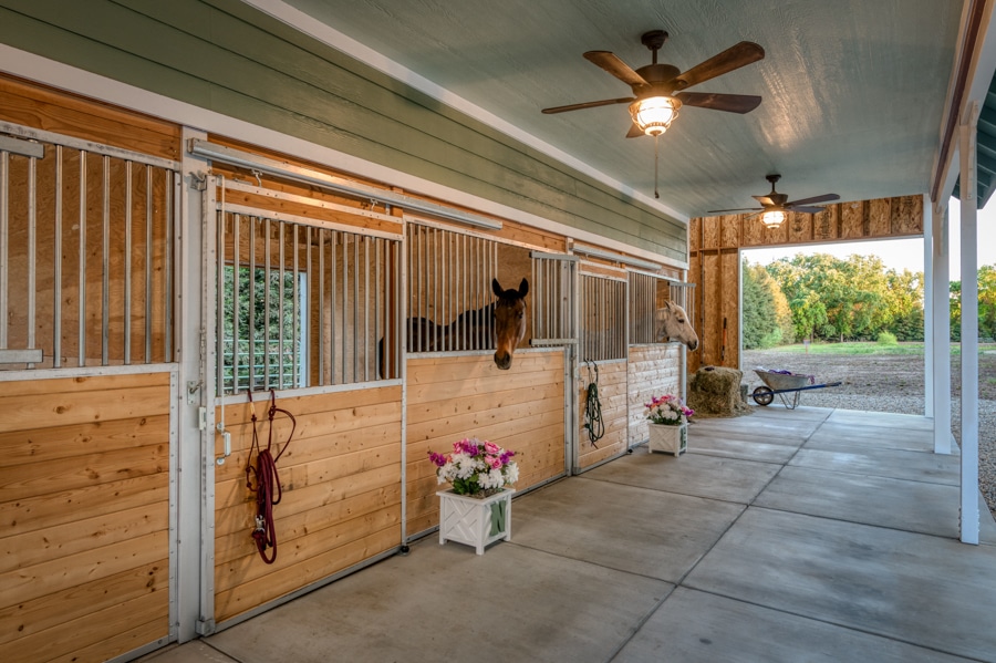 horse peaking head out of stalls in 22x60 Horse Barn in Central CA