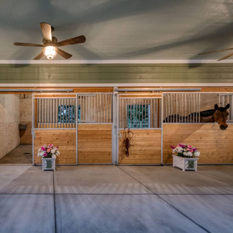 horses sticking their heads out of stalls in custom green horse barn