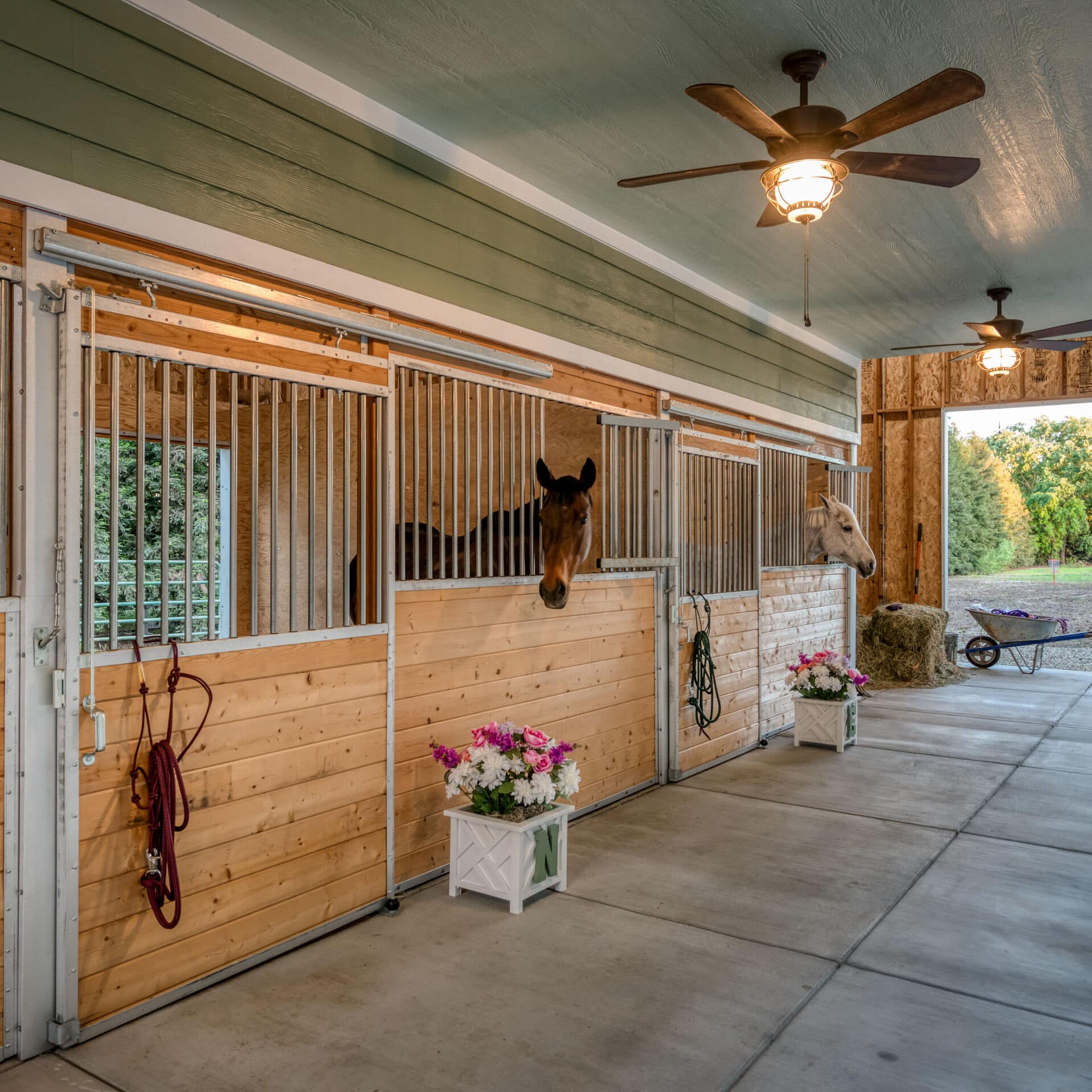 horses sticking their heads out of wooden stalls in custom horse barn