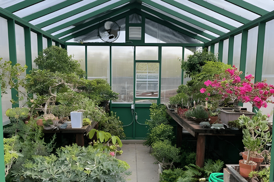 interior of green greenhouse shed with thriving plants