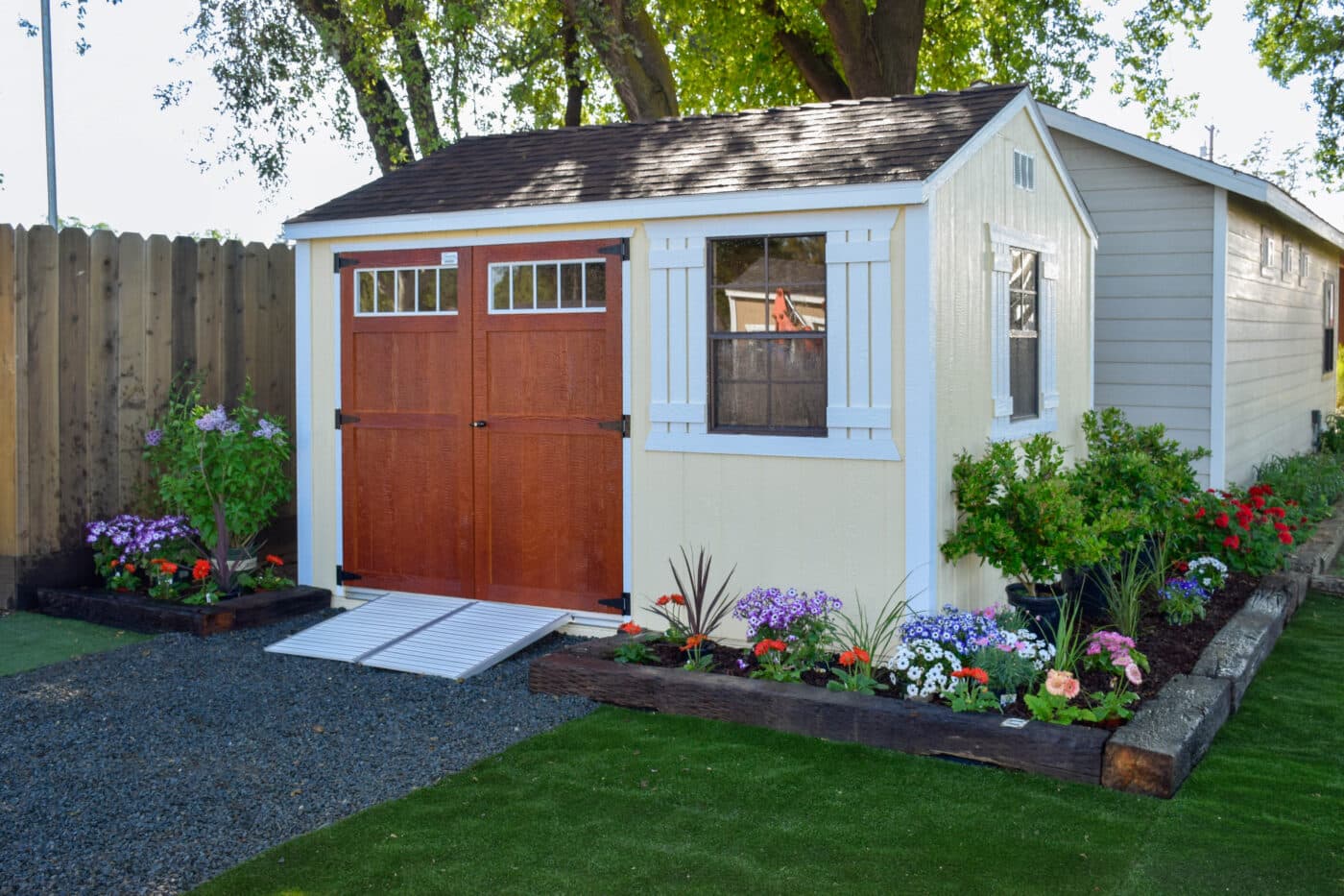tan deluxe ranch shed with red door with ramp leading to and garden bed around it