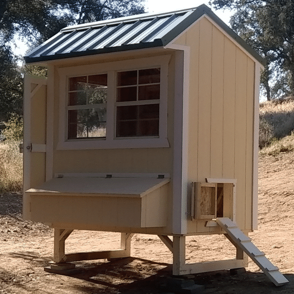 yellow chicken coop with white trim and black metal roof with side doors open and white ramp leading up to chicken door